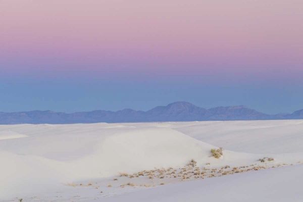 New Mexico, White Sands NM Desert at sunset